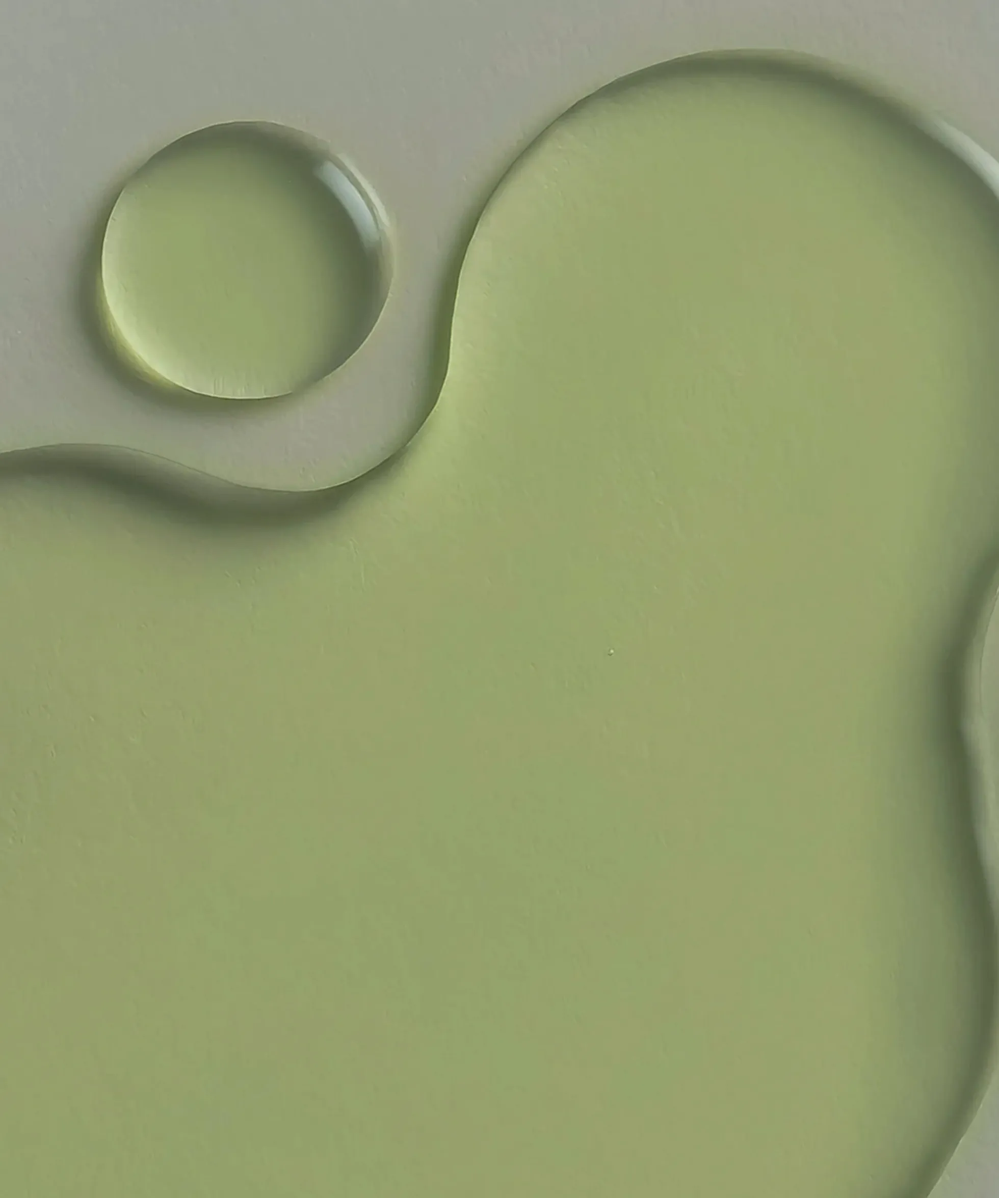 Cactus Bouncy Serum, 52 ml