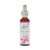 Crab Apple -kukkatipat (Villiomenapuu) No 10, 20 ml