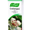 Crataegus - orapihlajauute, 50 ml