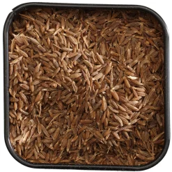 Juustokumina (jeera), kokonainen, 50 g