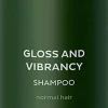 Kiiltoa tuova shampoo, 250 ml