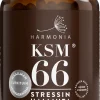 KSM66-tuplapakkaus