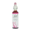 Larch-kukkatipat (Lehtikuusi) No 19, 20 ml