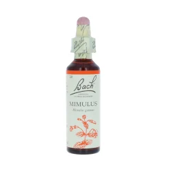 Mimulus-kukkatipat (Apinankukka) No 20, 20 ml