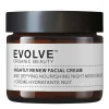 Nightly Renew Facial Cream Uudistava Yövoide, 60 ml