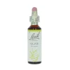 Olive-kukkatipat (Oliivi) No 23, 20 ml