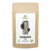 Pakurikääpä jauhe, 35 g