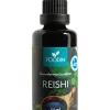 Reishi-tinktuura, kotimainen, 50 ml