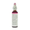 Star of Betlehem -kukkatipat (Sarjatähdikki) No 29, 20 ml