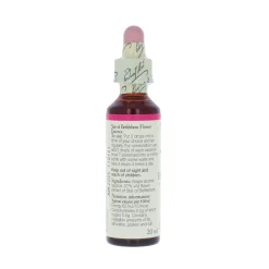 Star of Betlehem -kukkatipat (Sarjatähdikki) No 29, 20 ml