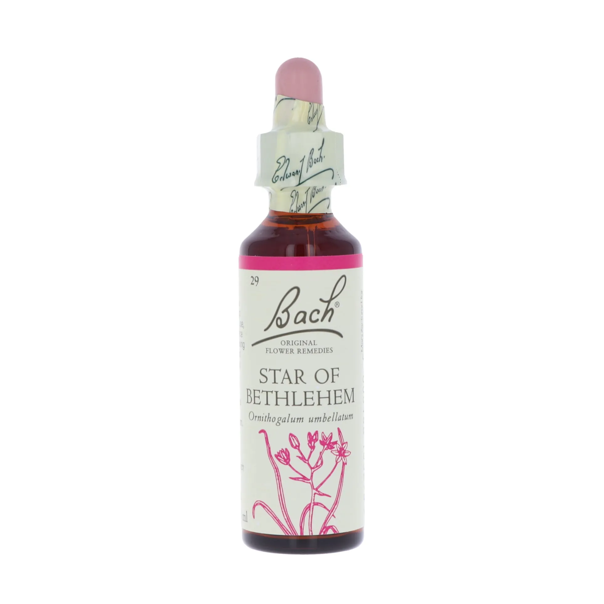 Star of Betlehem -kukkatipat (Sarjatähdikki) No 29, 20 ml