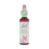 Sweet Chestnut -kukkatipat (Jalokastanja) No 30, 20 ml