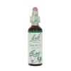 Walnut-kukkatipat (Saksanpähkinä) No 33, 20 ml