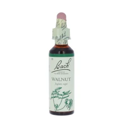 Walnut-kukkatipat (Saksanpähkinä) No 33, 20 ml