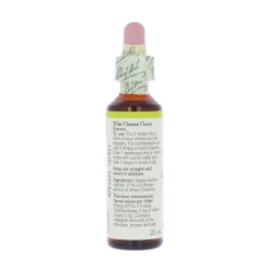 White Chestnut -kukkatipat (Valkoinen kastanja) No 35, 20 ml