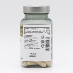 Zingiber (Inkivääri) 60 kaps